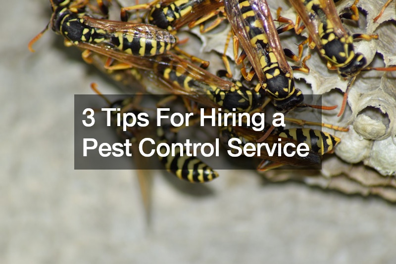 3 Tips For Hiring a Pest Control Service