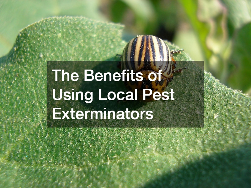 The Benefits of Using Local Pest Exterminators