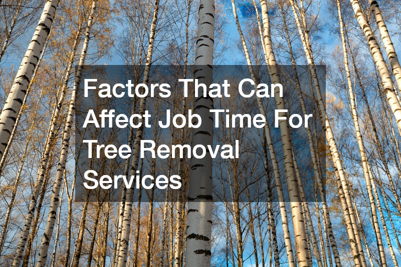Factors That Can Affect Job Time For Tree Removal Services