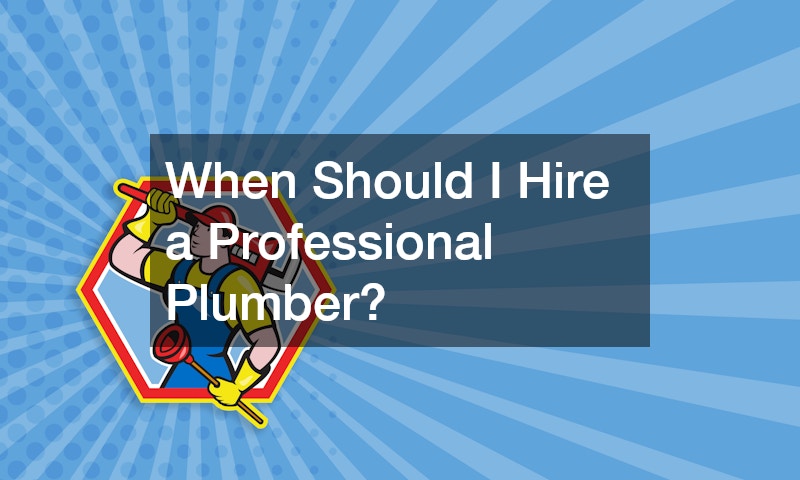 When Should I Hire a Professional Plumber?