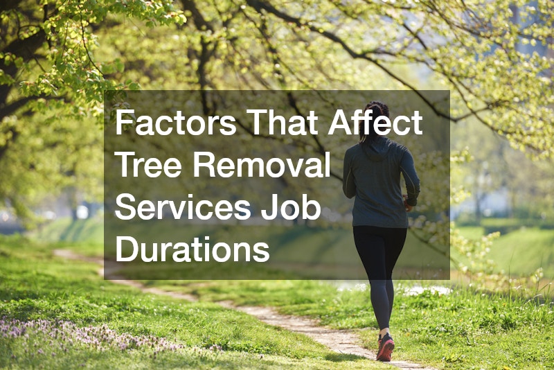 Factors That Affect Tree Removal Services Job Durations