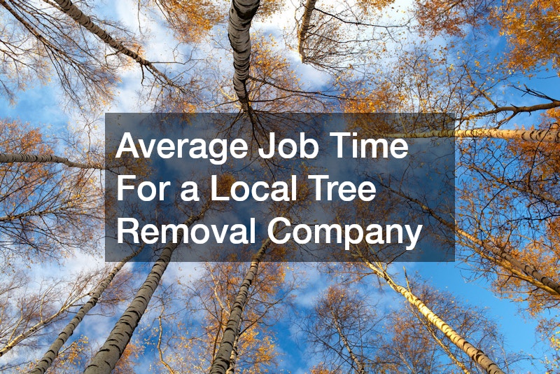 Average Job Time For a Local Tree Removal Company