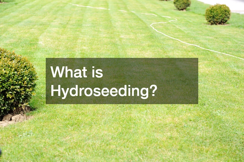 What is Hydroseeding?