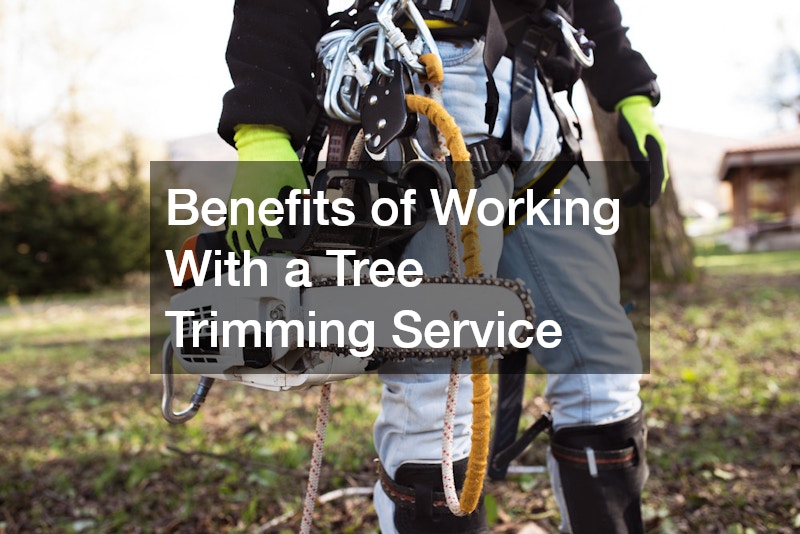 Benefits of Working With a Tree Trimming Service