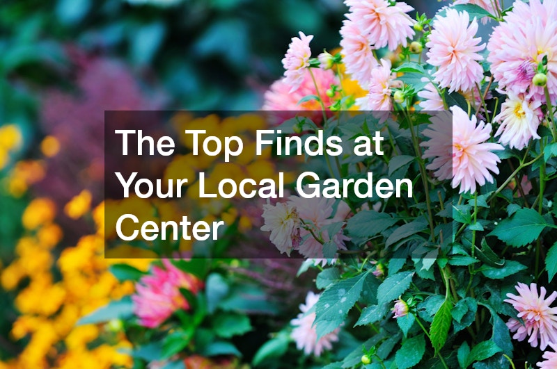 The Top Finds at Your Local Garden Center