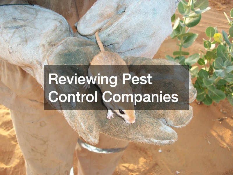 Reviewing Pest Control Companies