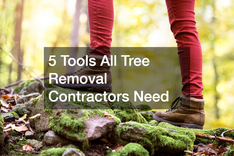 5 Tools All Tree Removal Contractors Need