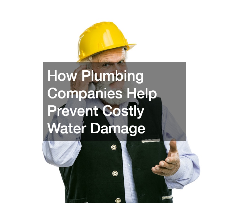 How Plumbing Companies Help Prevent Costly Water Damage