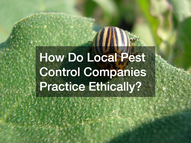 How Do Local Pest Control Companies Practice Ethically?