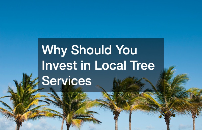 Why Should You Invest in Local Tree Services