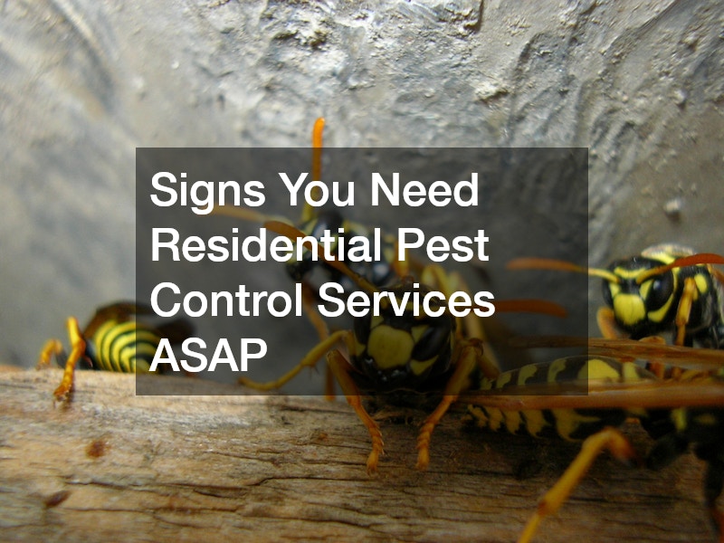 Signs You Need Residential Pest Control Services ASAP