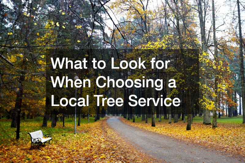 What to Look for When Choosing a Local Tree Service