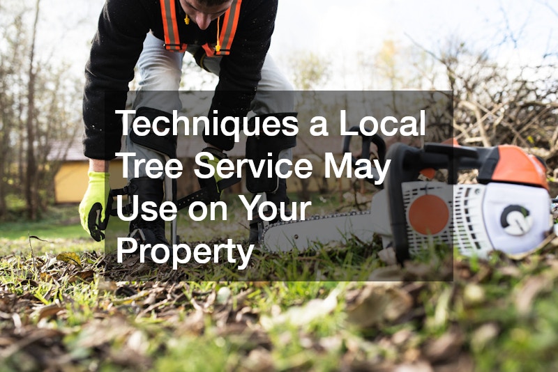 Techniques a Local Tree Service May Use on Your Property