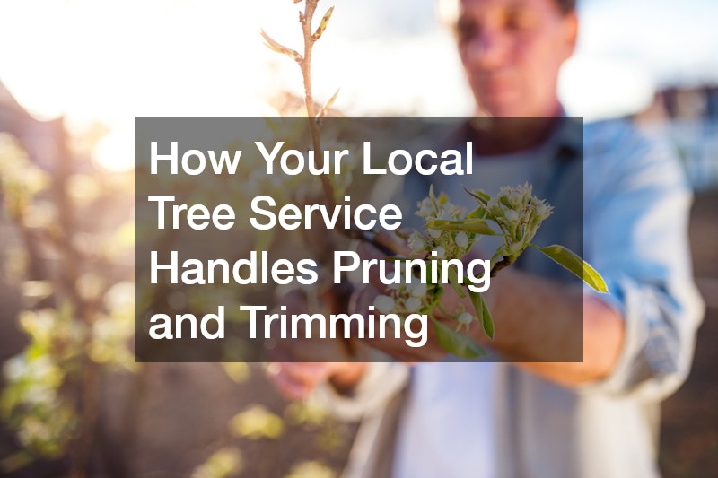 How Your Local Tree Service Handles Pruning and Trimming