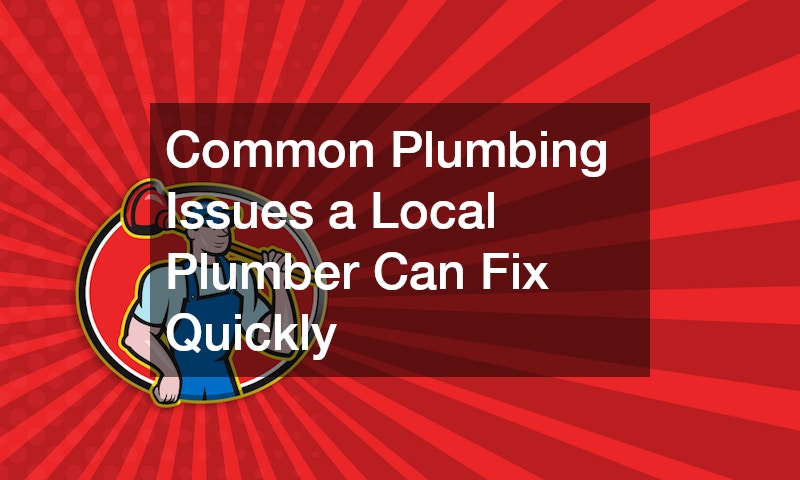 Common Plumbing Issues a Local Plumber Can Fix Quickly
