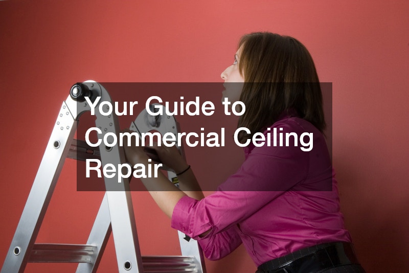Your Guide to Commercial Ceiling Repair