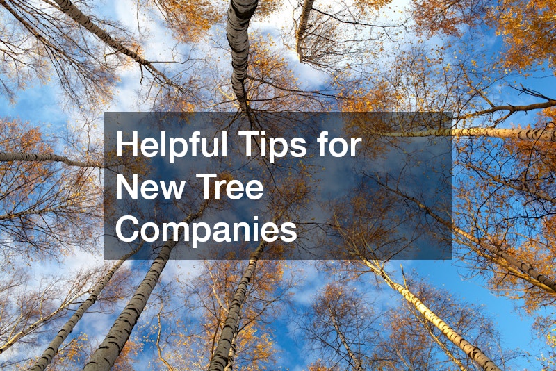 Helpful Tips for New Tree Companies