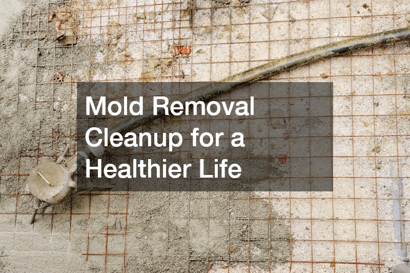 Mold Removal Cleanup for a Healthier Life
