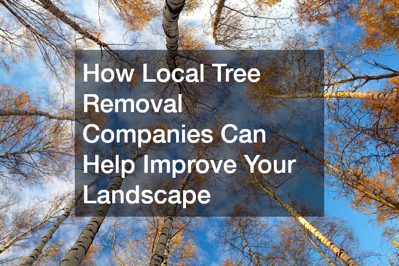 How Local Tree Removal Companies Can Help Improve Your Landscape