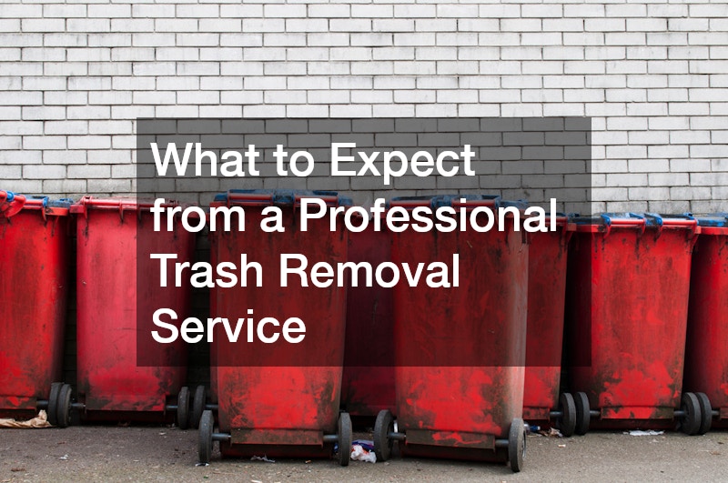 What to Expect from a Professional Trash Removal Service