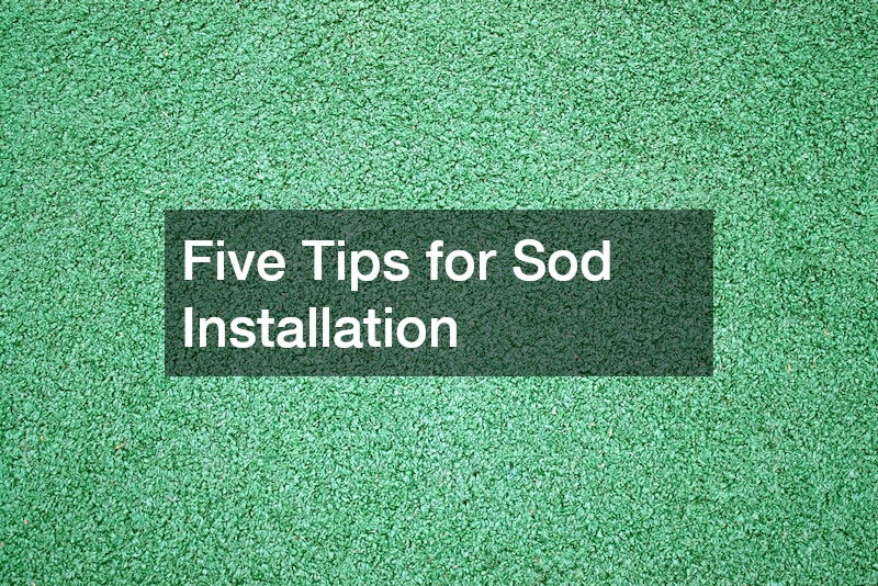 Five Tips for Sod Installation