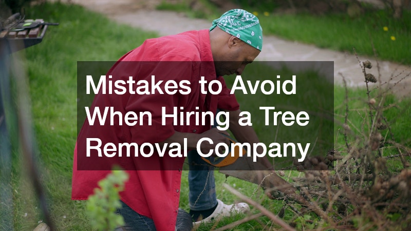 Mistakes to Avoid When Hiring a Tree Removal Company