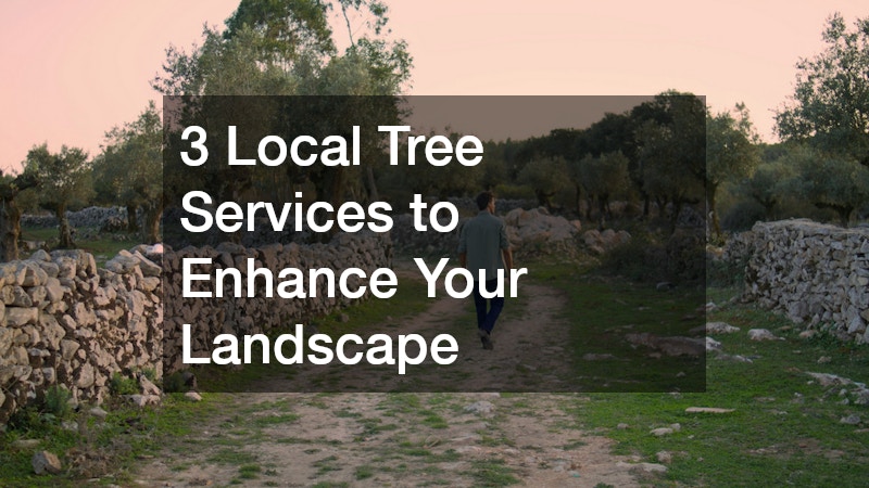 3 Local Tree Services to Enhance Your Landscape