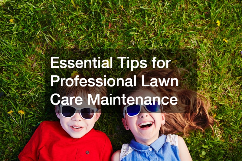 Essential Tips for Professional Lawn Care Maintenance