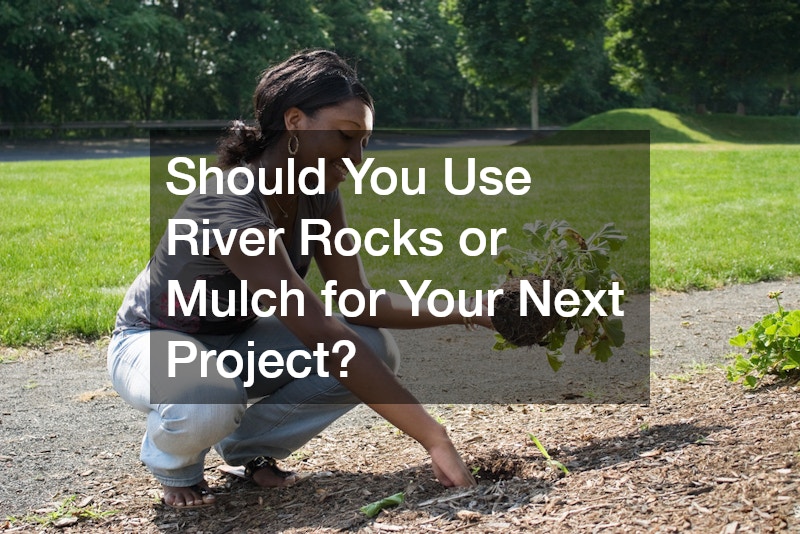 Should You Use River Rocks or Mulch for Your Next Project?