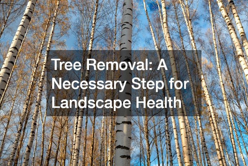 Tree Removal: A Necessary Step for Landscape Health