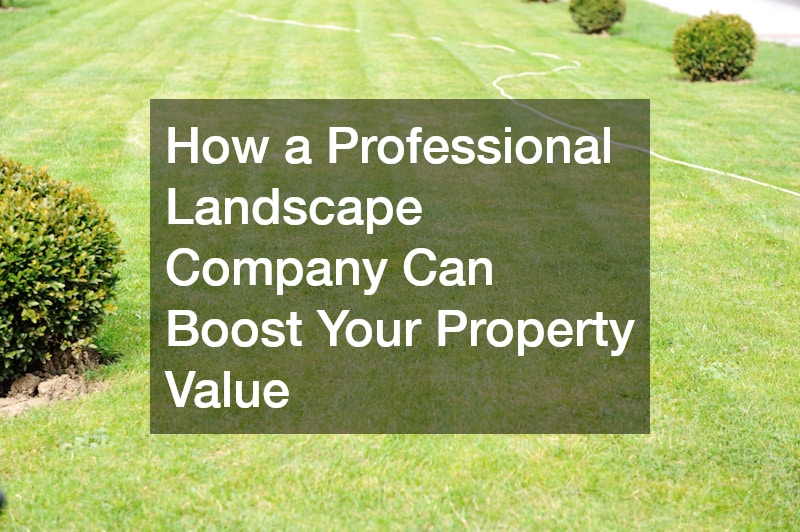 How a Professional Landscape Company Can Boost Your Property Value