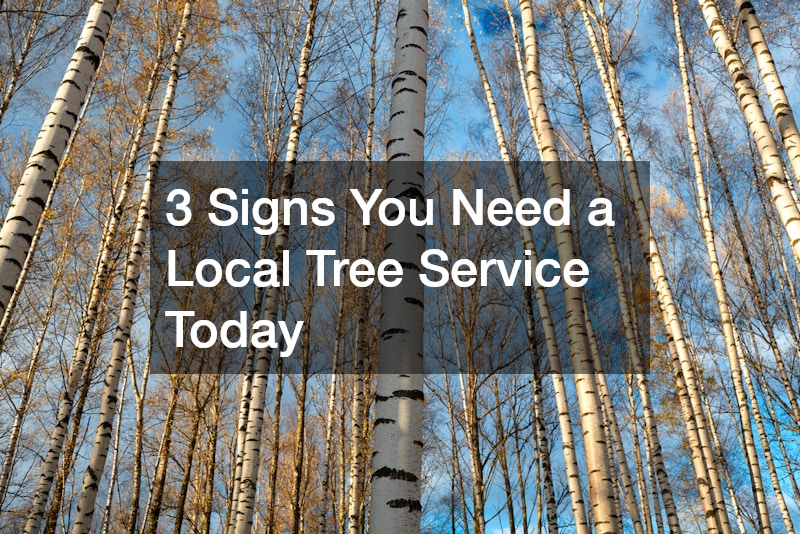 3 Signs You Need a Local Tree Service Today