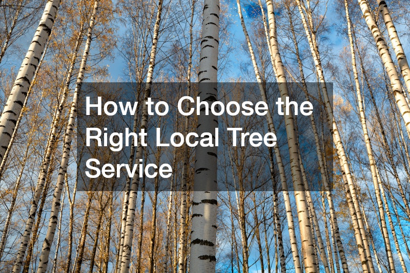 How to Choose the Right Local Tree Service