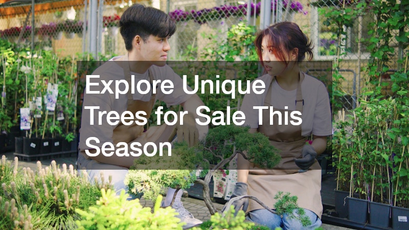 Explore Unique Trees for Sale This Season