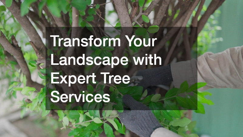 Transform Your Landscape with Expert Tree Services