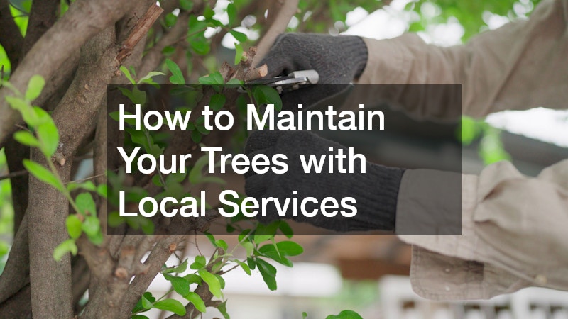 How to Maintain Your Trees with Local Services