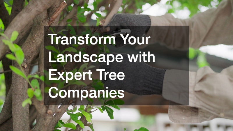 Transform Your Landscape with Expert Tree Companies