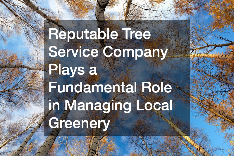 Reputable Tree Service Company Plays a Fundamental Role in Managing Local Greenery