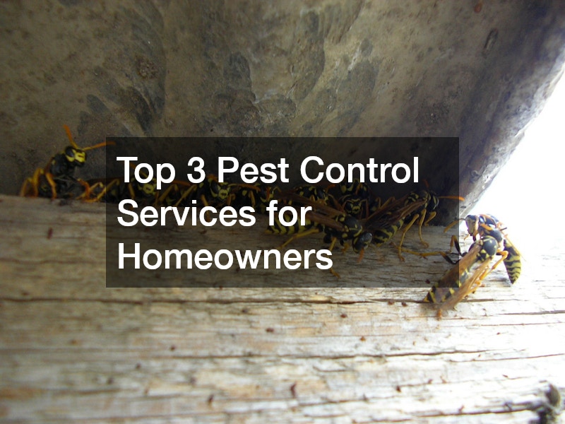 Top 3 Pest Control Services for Homeowners