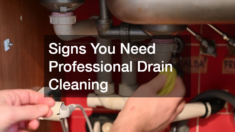 Signs You Need Professional Drain Cleaning