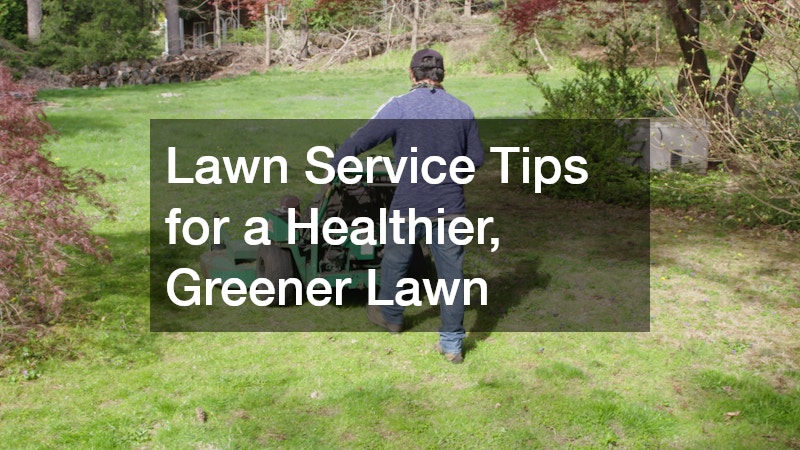 Lawn Service Tips for a Healthier, Greener Lawn