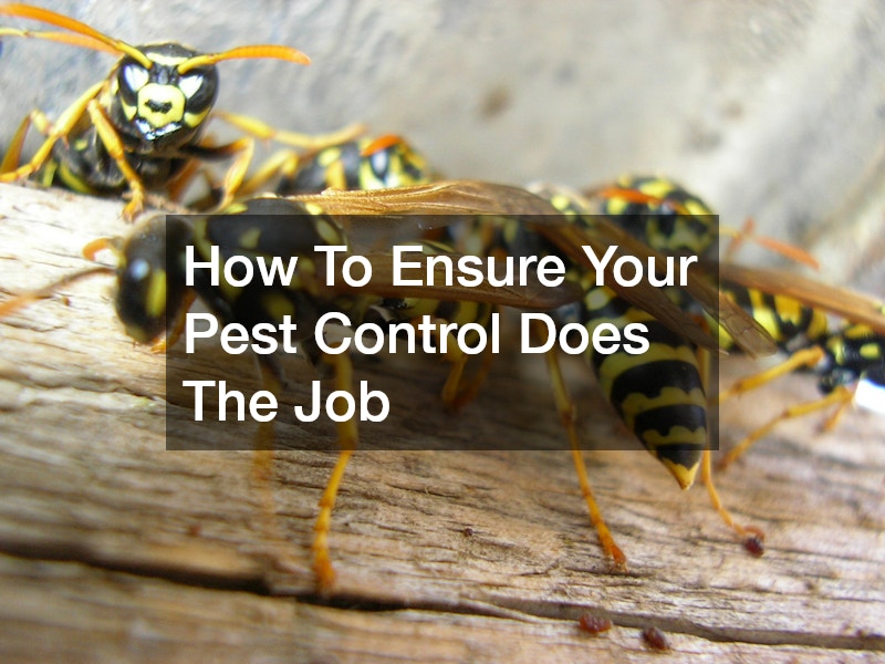 How To Ensure Your Pest Control Does The Job