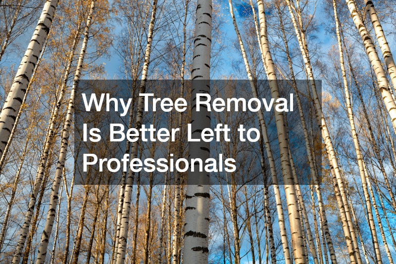 Why Tree Removal Is Better Left to Professionals