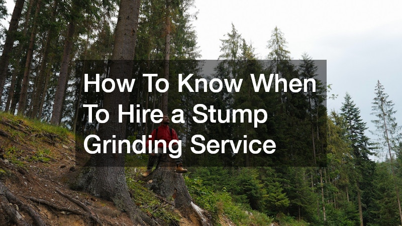 How To Know When To Hire a Stump Grinding Service