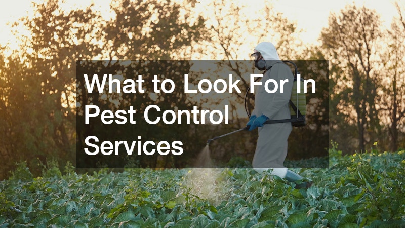 What to Look For In Pest Control Services