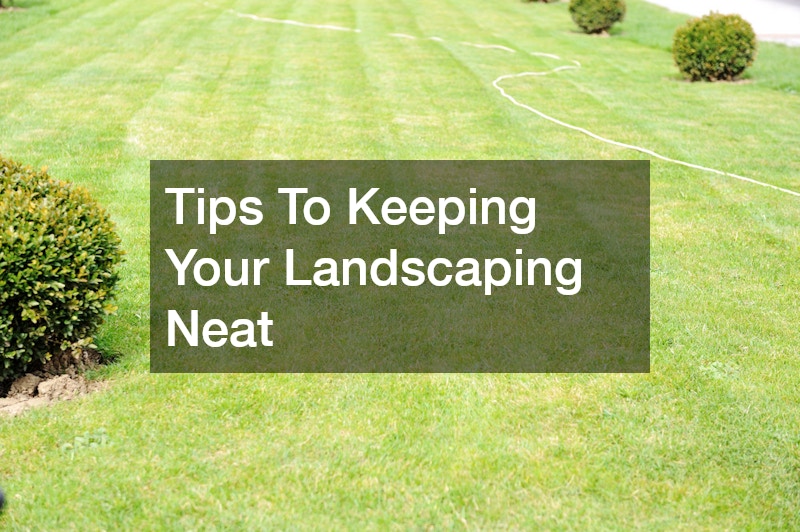 Tips To Keeping Your Landscaping Neat