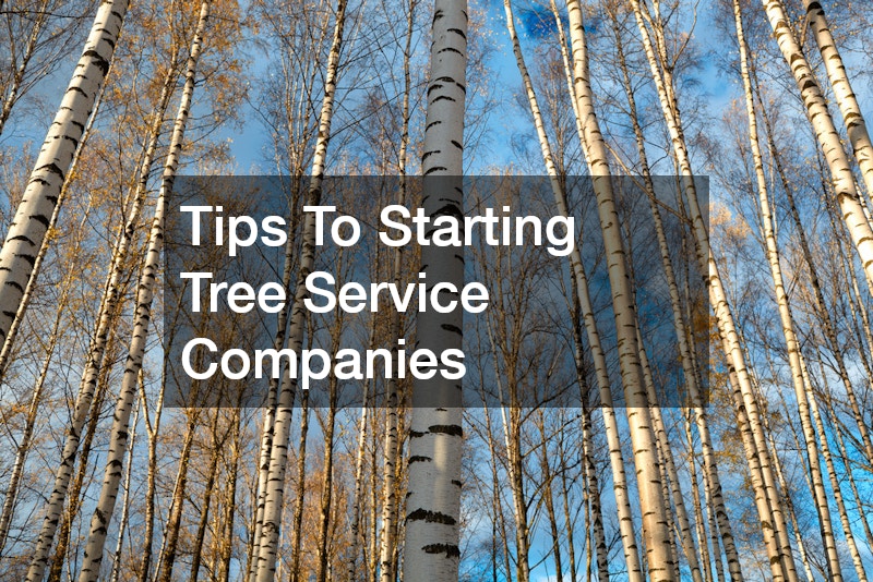 Tips To Starting Tree Service Companies
