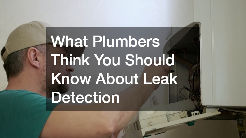 What Plumbers Think You Should Know About Leak Detection