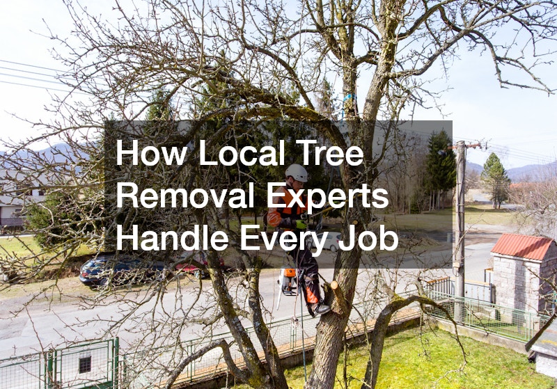 How Local Tree Removal Experts Handle Every Job