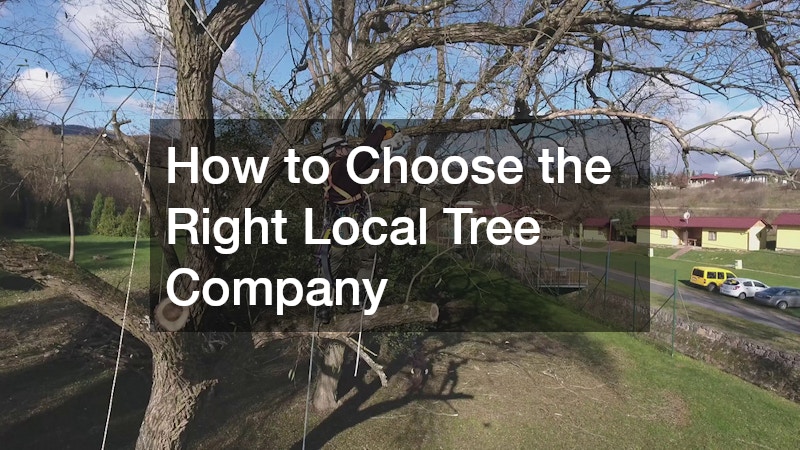 How to Choose the Right Local Tree Company